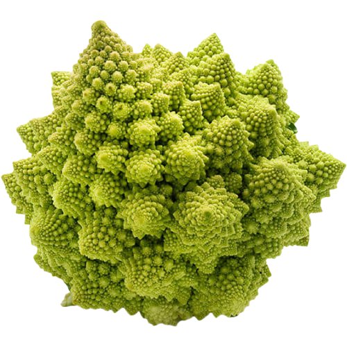 2611876-removebg-preview